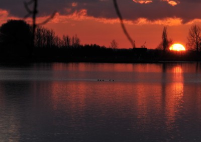 Sonnenuntergang über Arnis
