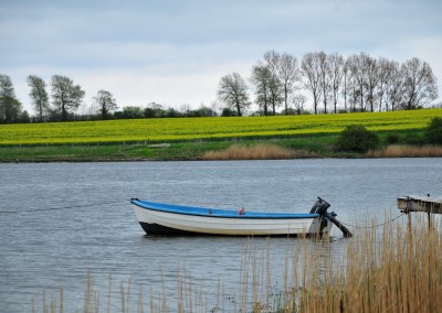 Schlei bei Arnis