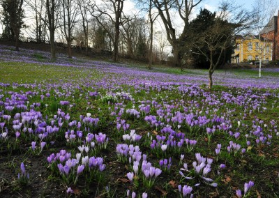 Frühling in Eckernförde