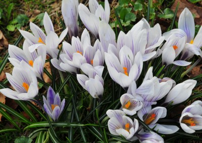 Frühling in Eckernförde