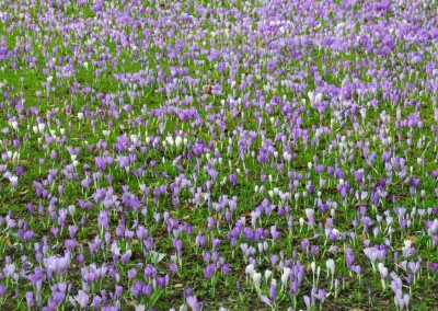 Frühling in Eckernförde