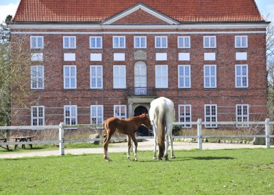 Herrenhaus Ludwigsburg bei Eckernförde
