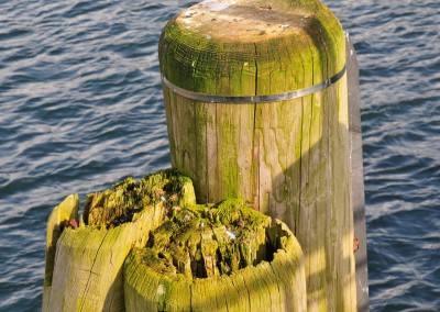 Poller im Hafen von Eckernförde