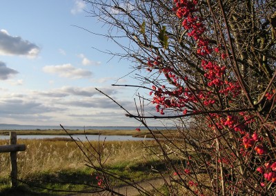 Impressionen Geltinger Birk