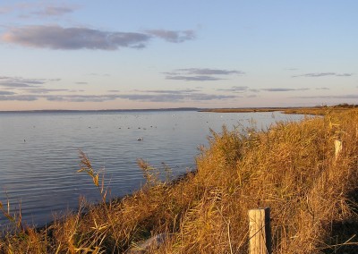 Impressionen Geltinger Birk
