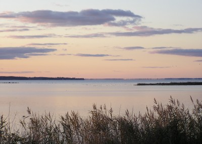 Impressionen Geltinger Birk