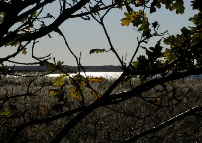 Herbststimmung Geltinger Birk