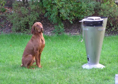Hund vor Wurst