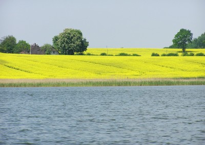Rappsfelder bei Sieseby