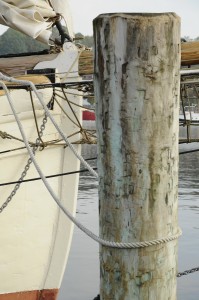 Flensburger Förde Poller