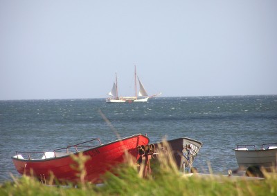 Impressionen Geltinger Birk