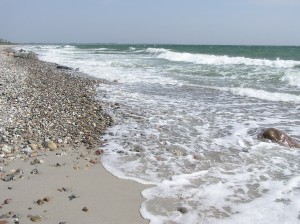 Strand Kronsgaard