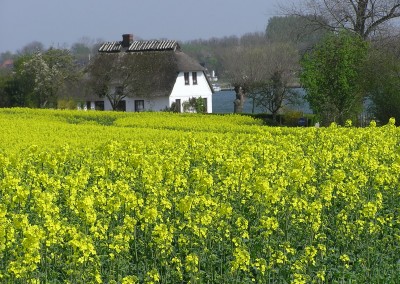 Rappsfelder bei Sieseby