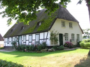 Schleiidyll auf dem Weg nach Sieseby